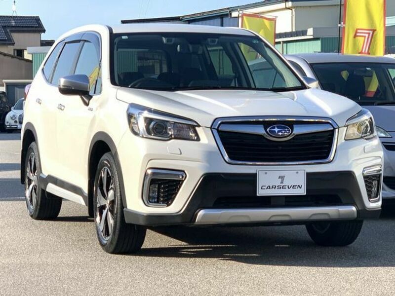 FORESTER