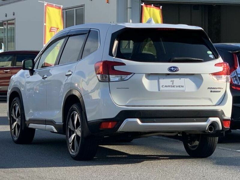 FORESTER
