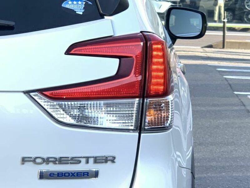 FORESTER