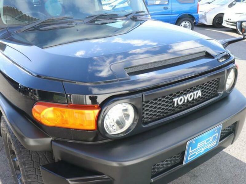 FJ CRUISER