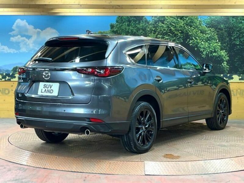CX-8