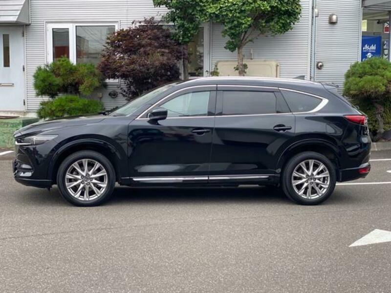 CX-8
