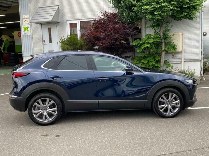 CX-30