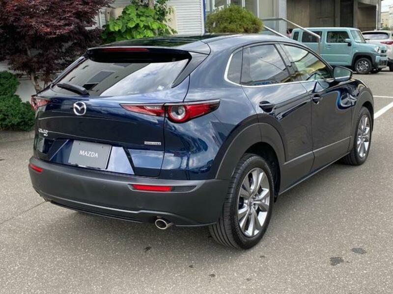 CX-30