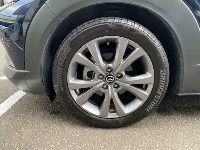 CX-30