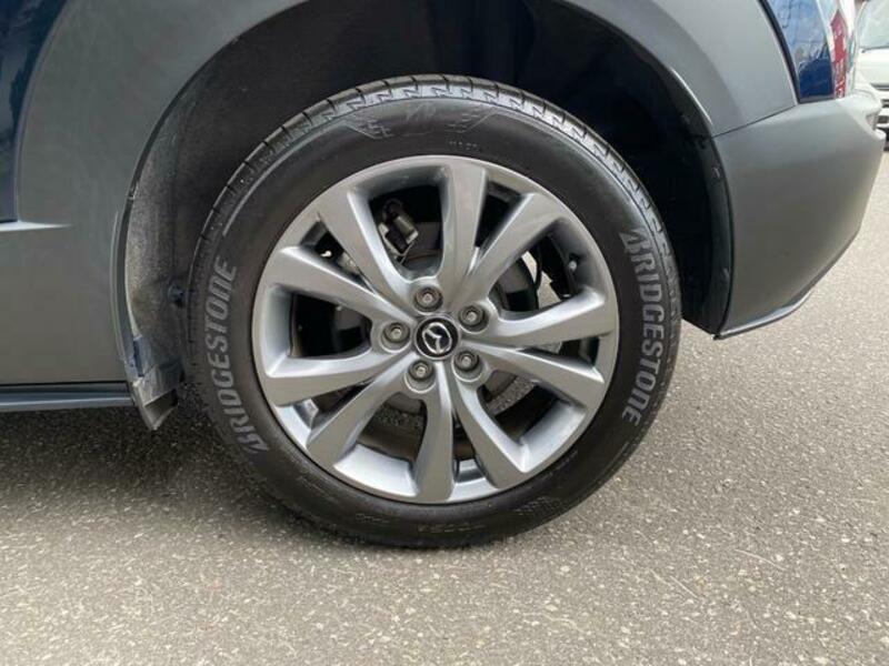 CX-30