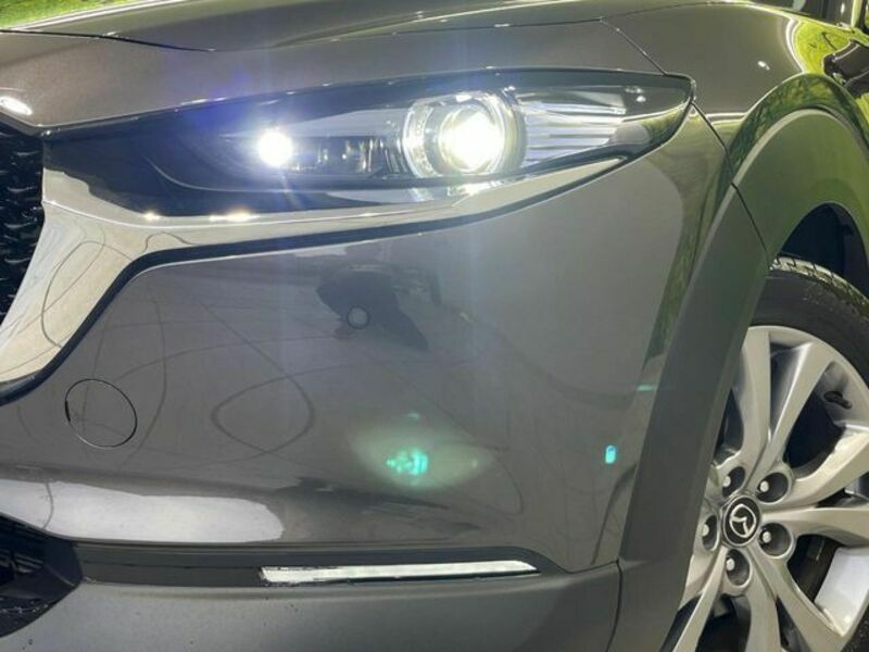 CX-30