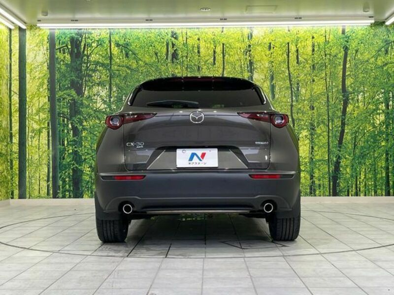 CX-30