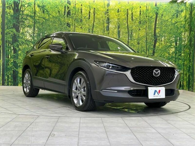 CX-30