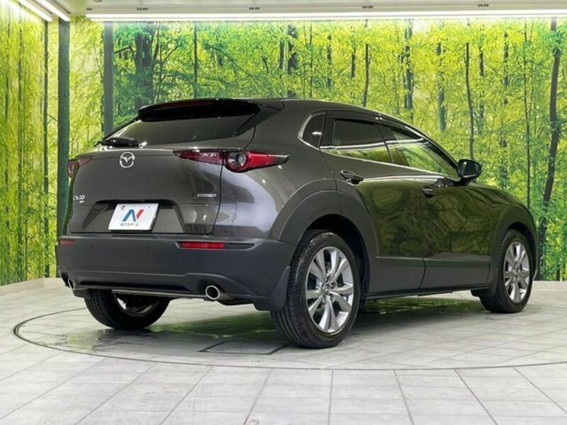 CX-30