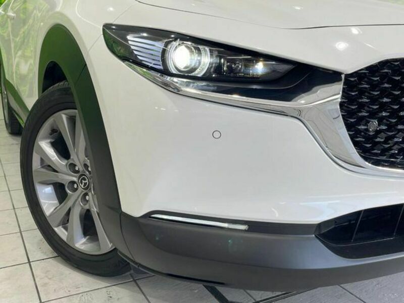 CX-30