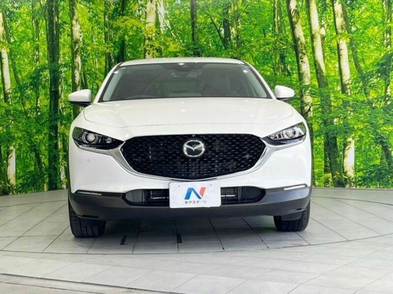 CX-30
