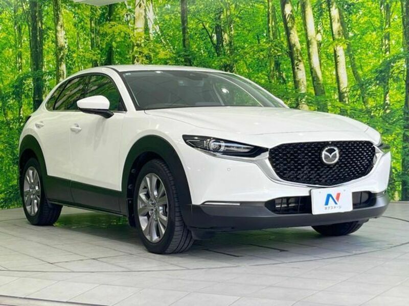 CX-30