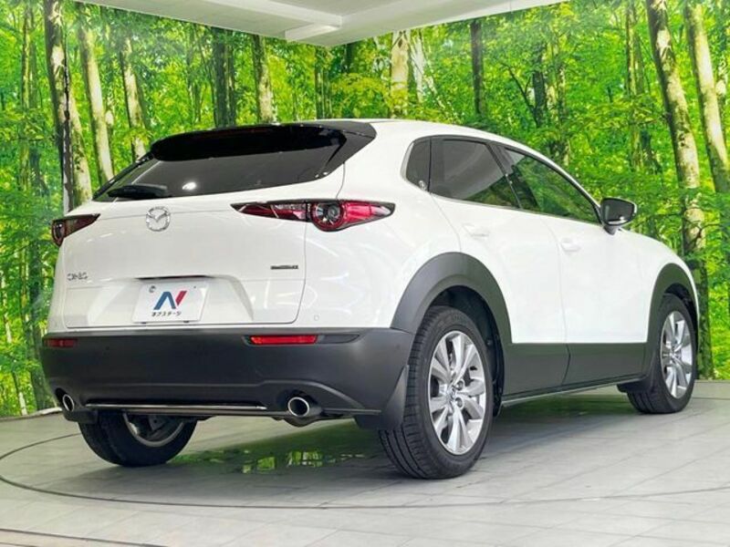 CX-30