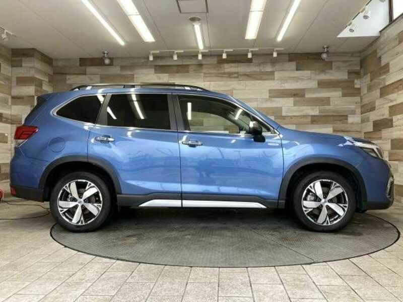 FORESTER
