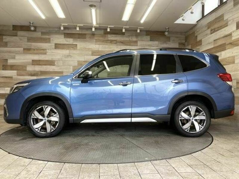 FORESTER