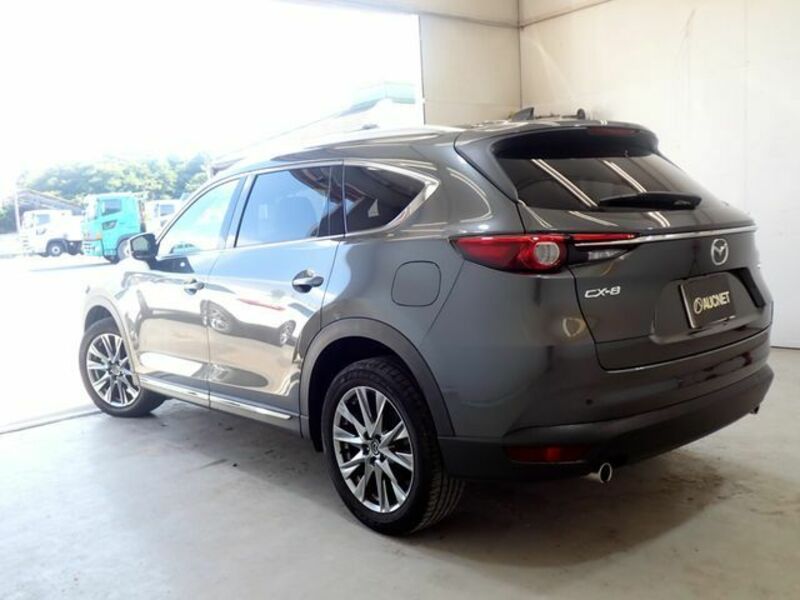 CX-8