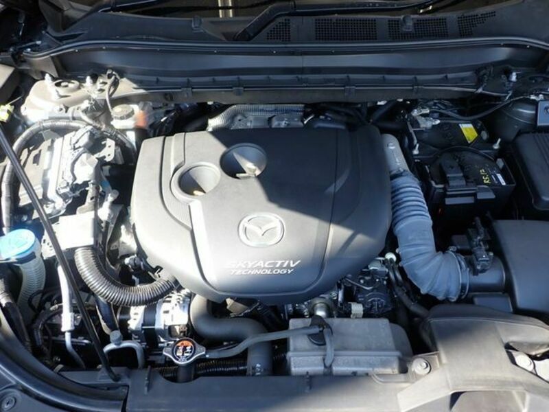 CX-8