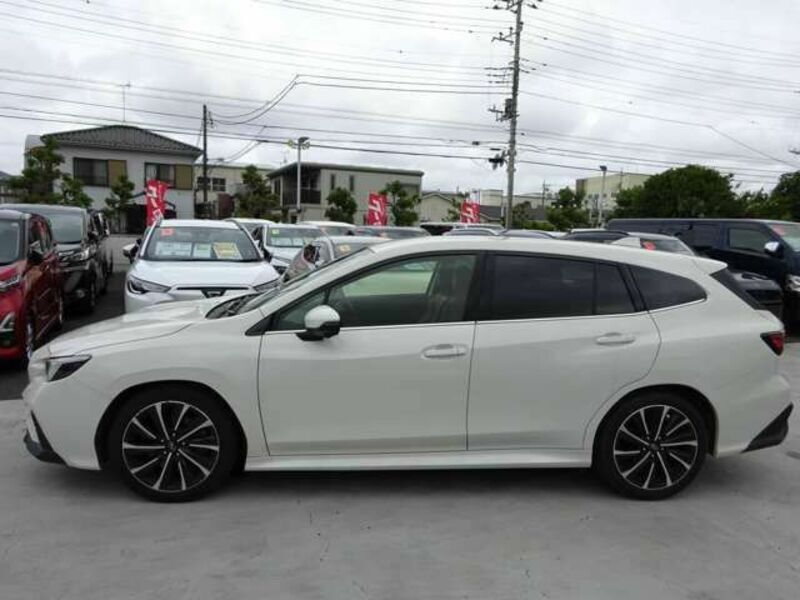 LEVORG