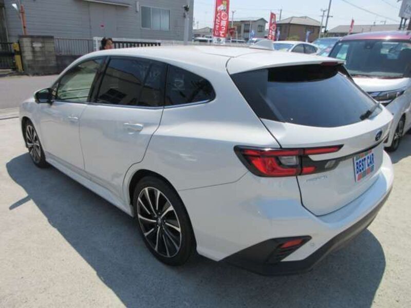 LEVORG