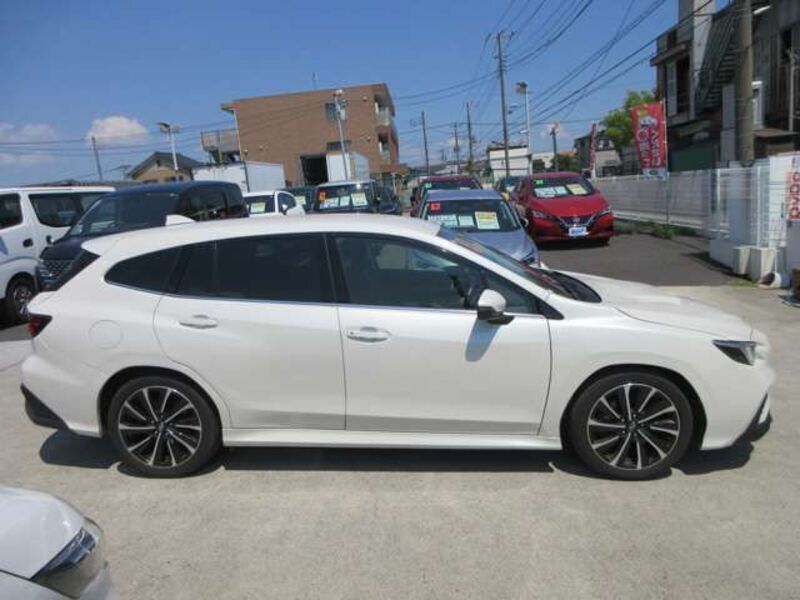 LEVORG