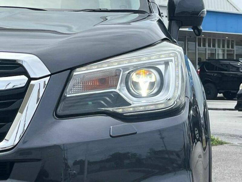 FORESTER