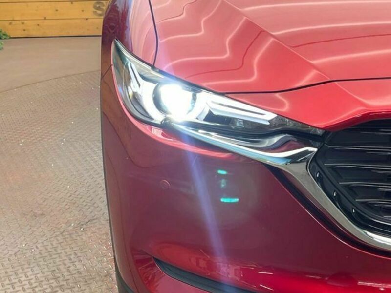 CX-8