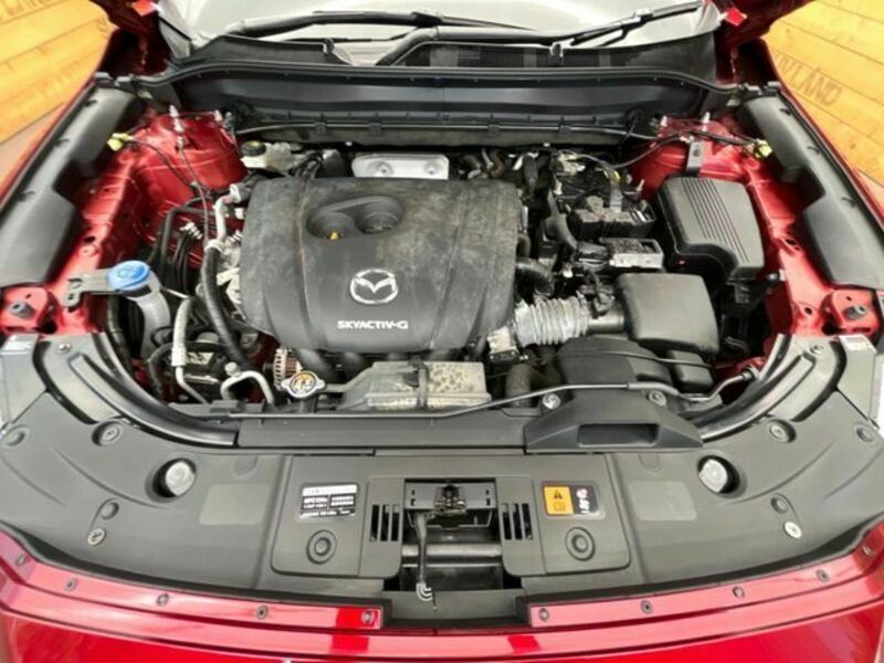 CX-8