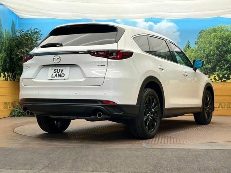 CX-8