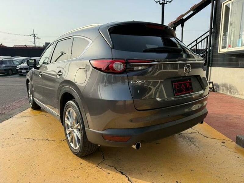 CX-8