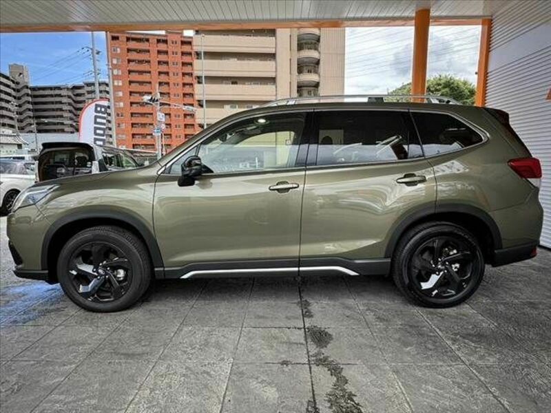 FORESTER