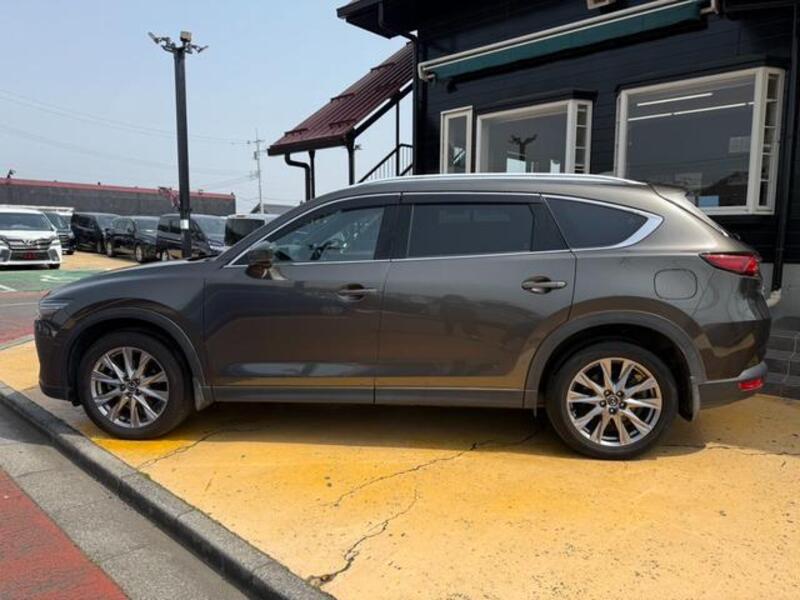 CX-8