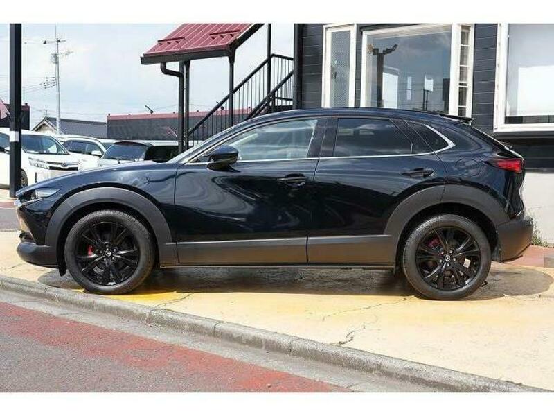 CX-30