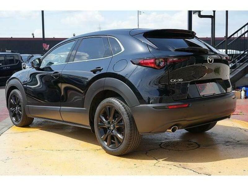 CX-30