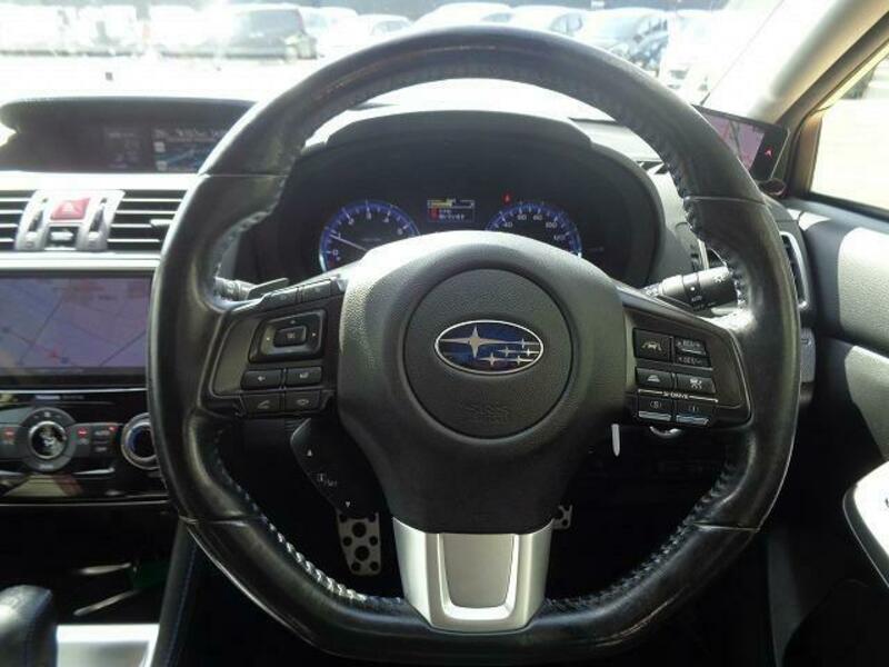 LEVORG