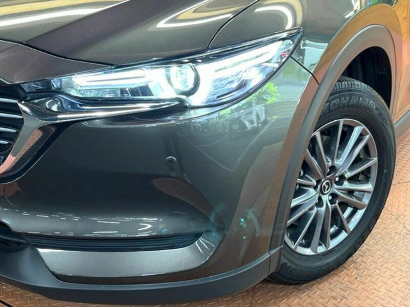 CX-8
