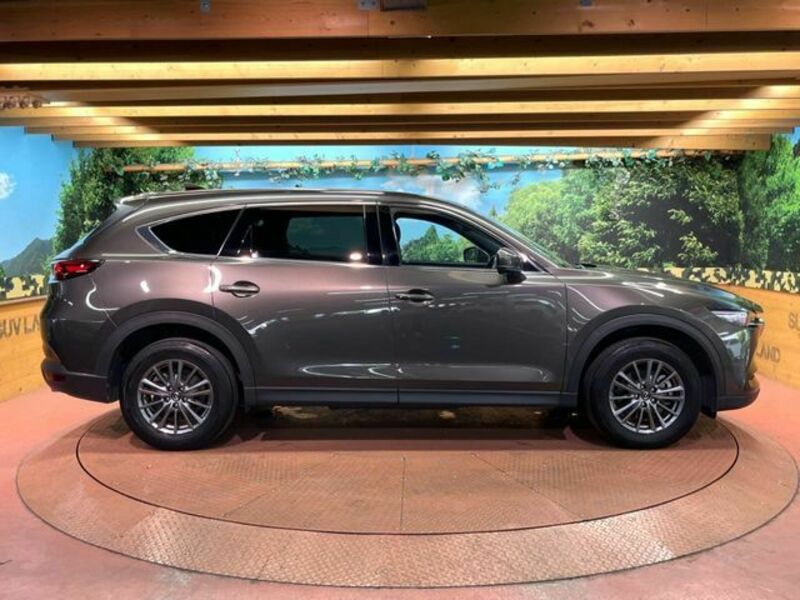 CX-8