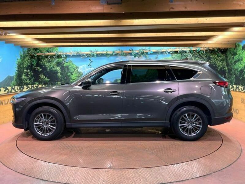CX-8