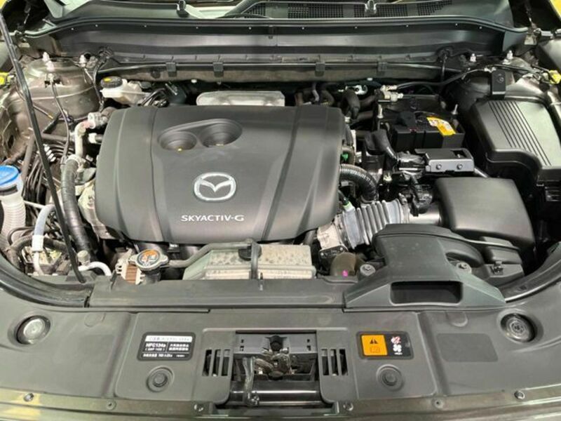 CX-8