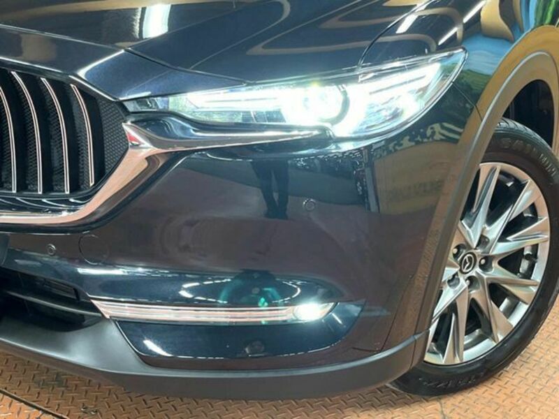 CX-8