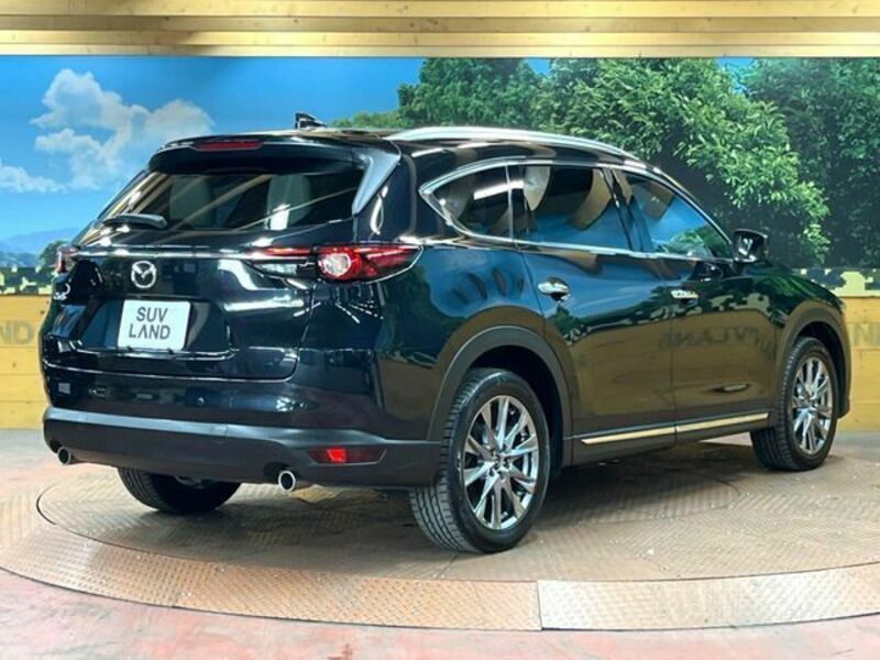 CX-8