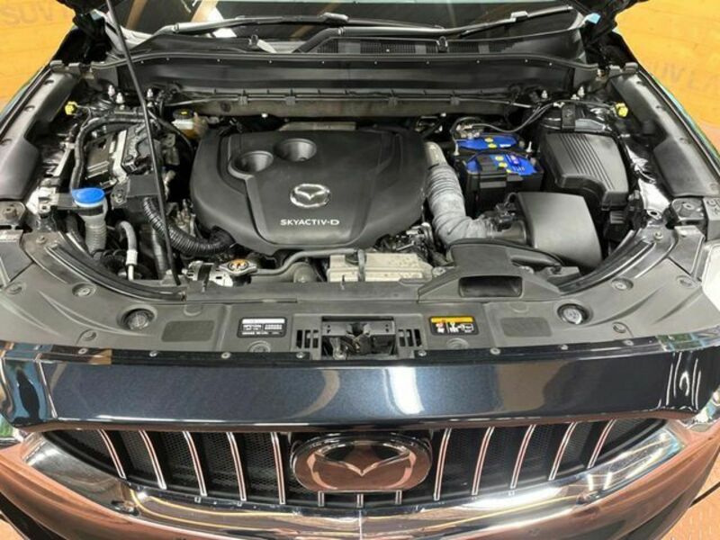 CX-8