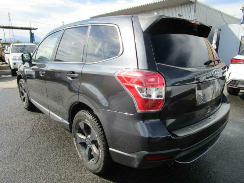 FORESTER