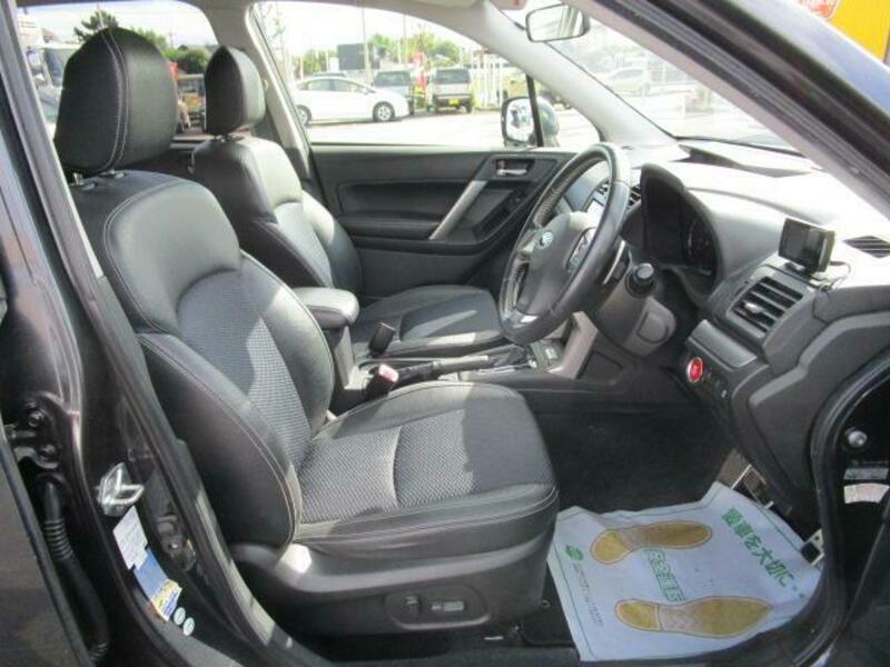 FORESTER