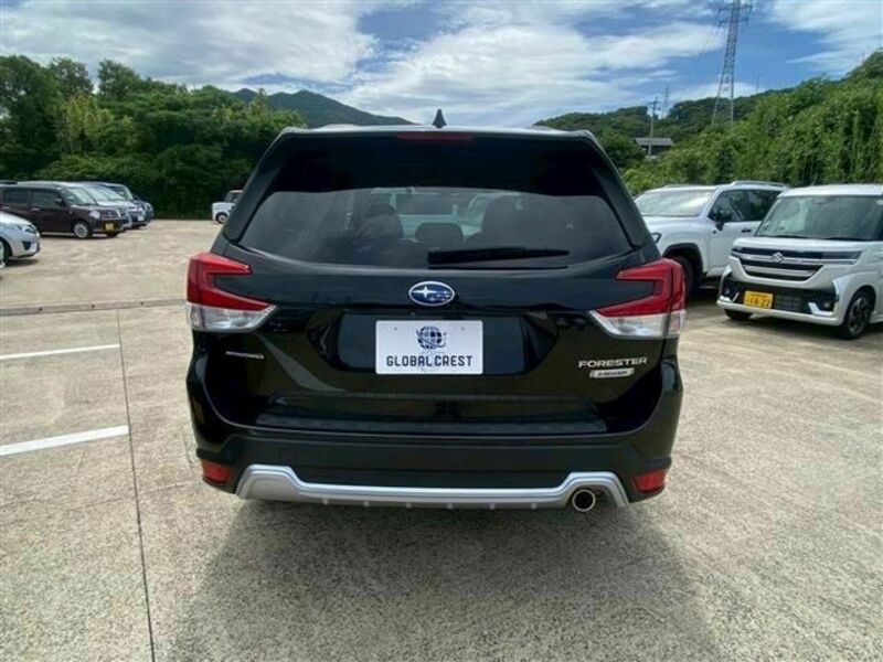 FORESTER