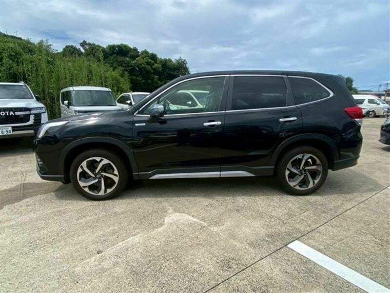 FORESTER