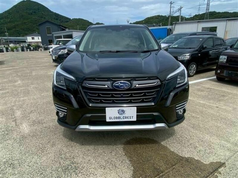 FORESTER
