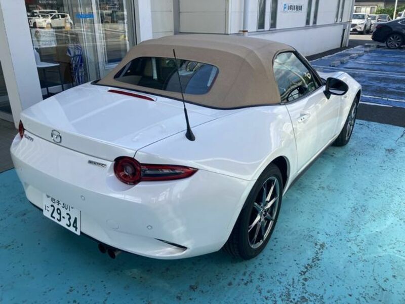 ROADSTER
