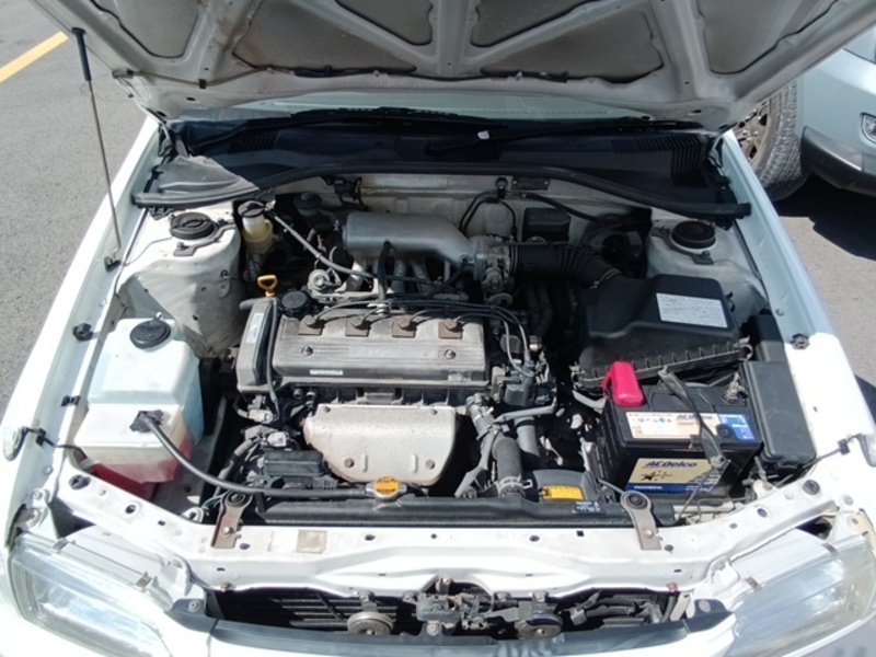 CORONA PREMIO