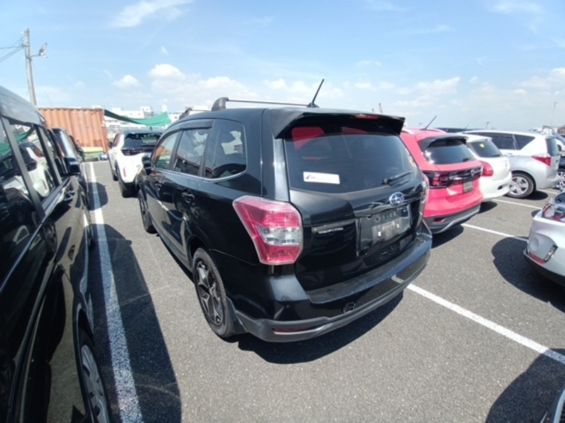 FORESTER